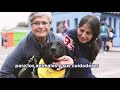 BOGOTÁ CIUDAD AMIGA DE LOS ANIMALES - INSTITUTO DE PROTECCIÓN ANIMAL