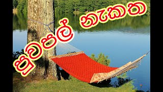 Astrology /පුවපල් නැකතින් උපන් ඔබේ චරිත ලක්ශණ