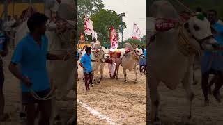 | kankipadu Race | 1st place | Ongole bulls race | YouTube | viral | trending |