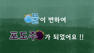 [하꿈아이] 예수님의기적01_물이 변하여 포도주가 되었어요(요2:1-11)