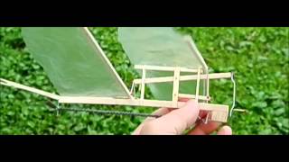 複葉羽ばたき機　試飛1 Tandem Wing ornithopter Test Flight Ver.1