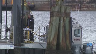 NPD investigate after body found in Elizabeth River