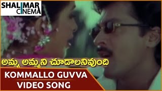 Amma Ammani Chudalani Undhi Movie || Kommallo Guvva Guvva Video Song || Vinod Kumar