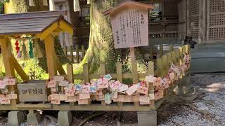 高千穂神社 / Takachiho Shrine