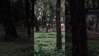 ഇരിട്ടിയിലെ അടിപൊളി ഇക്കോ പാർക്ക് ECHO PARK IRITTY | CHILDRENS PARK IRITTY |TOURIST PLACES IN IRITTY