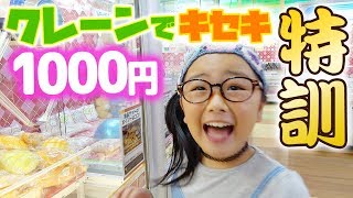 スクイーズのクレーンゲーム1000円チャレンジでキセキの大技ゲット!?｜ひまひまチャンネル