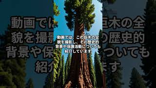 世界の最も古い樹木 #雑学 #自然