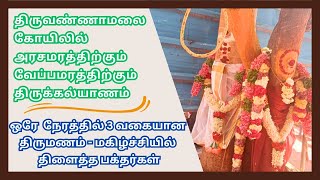 சிவனின் அம்சம் அரசமரத்திற்கும், அம்மன் வேப்பமரத்திற்கும் திருக்கல்யாணம்-ஒரே நேரத்தில் 3 வகை திருமணம்