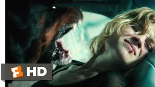 Don't Breathe (2016) - Trapped in a Car Scene (9/10) | Movieclips