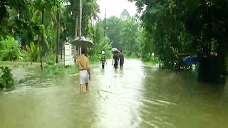 കോട്ടയത്തിന്റെ പടിഞ്ഞാറൻ ഭാഗങ്ങളിൽ ജലനിരപ്പ് ഉയരുന്നു|Kottayam west | report 4