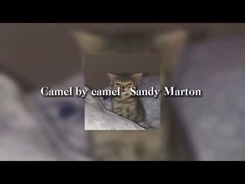 Camel By Camel - Sandy Marton |speed Up| - YouTube