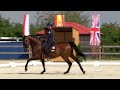 wawe european championships 2024 dressage mirjam gall notario