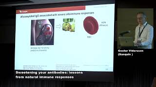 Prof Gestur Vidarsson - Sweetening your antibodies: lessons from natural immune responses