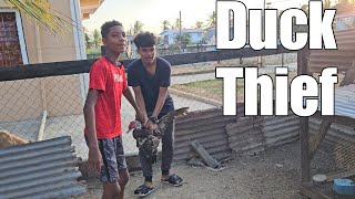 Duck Thief - A Guyanese Short Film (Guyana Undiscovered)