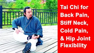 Tai Chi to Relieve Neck Stiffness, Back Pain, Cold Pain, and Hip Joint Discomfort