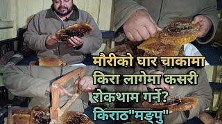 मौरीको घार चाकामा किरा लागेमा कसरी रोकथाम गर्ने? Kiran90s