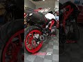 benelli 302s con escape premium full carbono ex123 exhaust escapesound exhaustsound