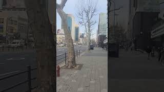 강남대로 124길  따라 걷기. Gangnam dae ro 124 gil. Gangnam.Seoul.South Korea