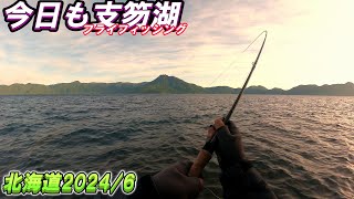 【フライフィッシング】支笏湖釣り　2024年6月　　今日もブラウントラウトをセミフライで狙うが　ヤツが釣れる💦💦💦　【ボウズ動画】　4戦目　これで2勝２敗