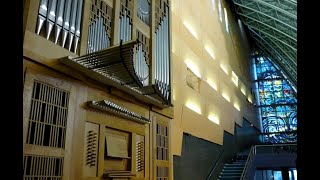 David Cassan improvise en Concert à l'Orgue ibérique de l'église des Saints-François à Montpellier