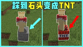 MC我的世界：踩到石头就会生成TNT，我该如何生存下去？【渣渣辉TD】