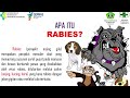 video edukasi tentang rabies dinas kesehatan tabanan