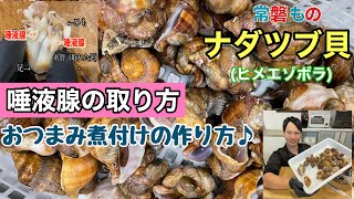 常磐もの「ナダツブ貝」が美味すぎる！！おつまみ煮付けと「唾液腺の取り方」やるよ☆