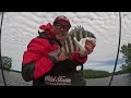 the sheepshead bite is on catch and cook