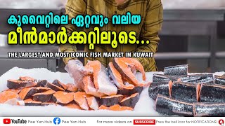 The Largest and Most Iconic Fish Market | KUWAIT CITY | കുവൈറ്റിലെ ഏറ്റവും വലിയ മീൻ മാർക്കറ്റ്