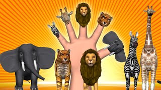 Animal Finger Family - Finger Family Song - 3D Animation Nursery Rhymes & Songs for Children