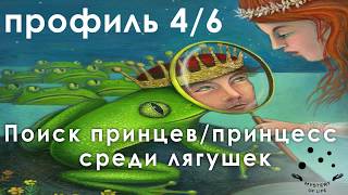 ⚙️ Дизайн Человека Профиль 4/6. 6-я линия по телу. Андар и Найя. Human Design