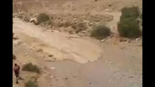 Graban el ´renacer´ de río en el desierto de Israel