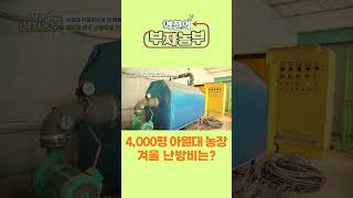 [역전의부자농부 280회] 4,000평 아열대 농장 겨울 난방비는?