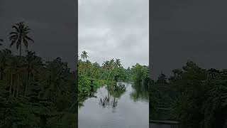 ഇത് കണ്ടോ, ഇത് എന്റെ സ്വന്തം കുളം ആണ്