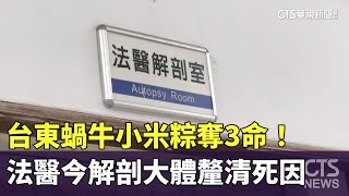 台東蝸牛小米粽奪3命！法醫今解剖大體釐清死因｜華視新聞 20240920 @CtsTw