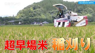 超早場米の稲刈り始まる（宮崎県日南市）