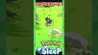 【ポケモンスリープ】これはルクシオ？レントラー？ #ポケモンスリープ #ポケスリ #ポケモン