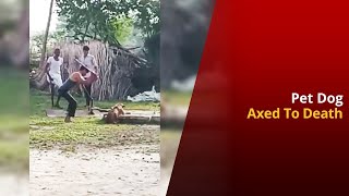 Shocking Video Goes Viral - Pet Dog Axed To Death In Alwar | NewsMo