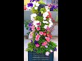 how to make a petunia tower | Petunia Tower | petunia vertical flower tower #petunia#tower#shorts