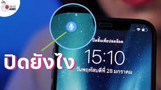 [iMoD] ไอคอนไมโครโฟนแสดงบนแถบสถานะหน้าจอ iPhone ตลอดเวลา คืออะไร? แล้วปิดยังไง? ไปชมกัน