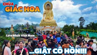 Bà Con Thi Nhau Giật Cô Hồn Tại Chùa Giác Hoa | Tượng Phật Dược Sư Lớn Nhất Việt Nam