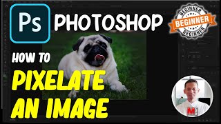 Photoshop How To Pixelate An Image