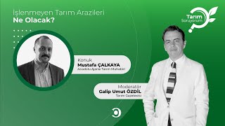 Tarım SoruYorum | İşlenmeyen Tarım Arazileri Ne Olacak?