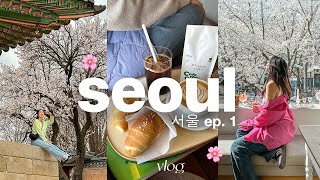 7 days in seoul 🌸