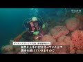 ダイバー人気の大瀬崎で海中清掃　地元ガイドが釣り糸除去