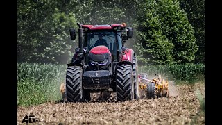 CASE IH OPTUM 300cvx + AGRISEM MAXIMULCH 4.5 | Minimun Tillage | 1080p