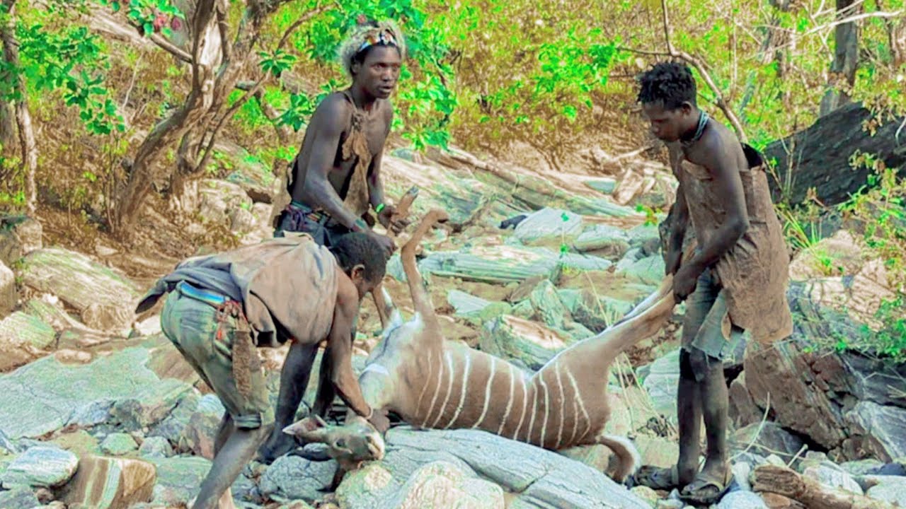 Hadzabe Tribe Life Of The Hunters Youtube
