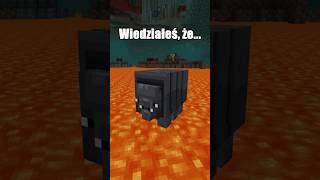 WIEDZIAŁEŚ, ŻE... NIESPORCZAKI MOGŁY BYĆ w MINECRAFT?