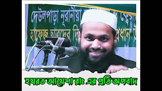 হযরত আয়েশা রাঃ এর প্রতি দেয়া অপবাদ | মুফতী আরিফ বিন হাবীব | Al Bayan - البيان