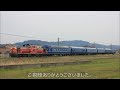 【天理臨】9636レ　dd51 1193号機 24系6b　＠天理～櫟本